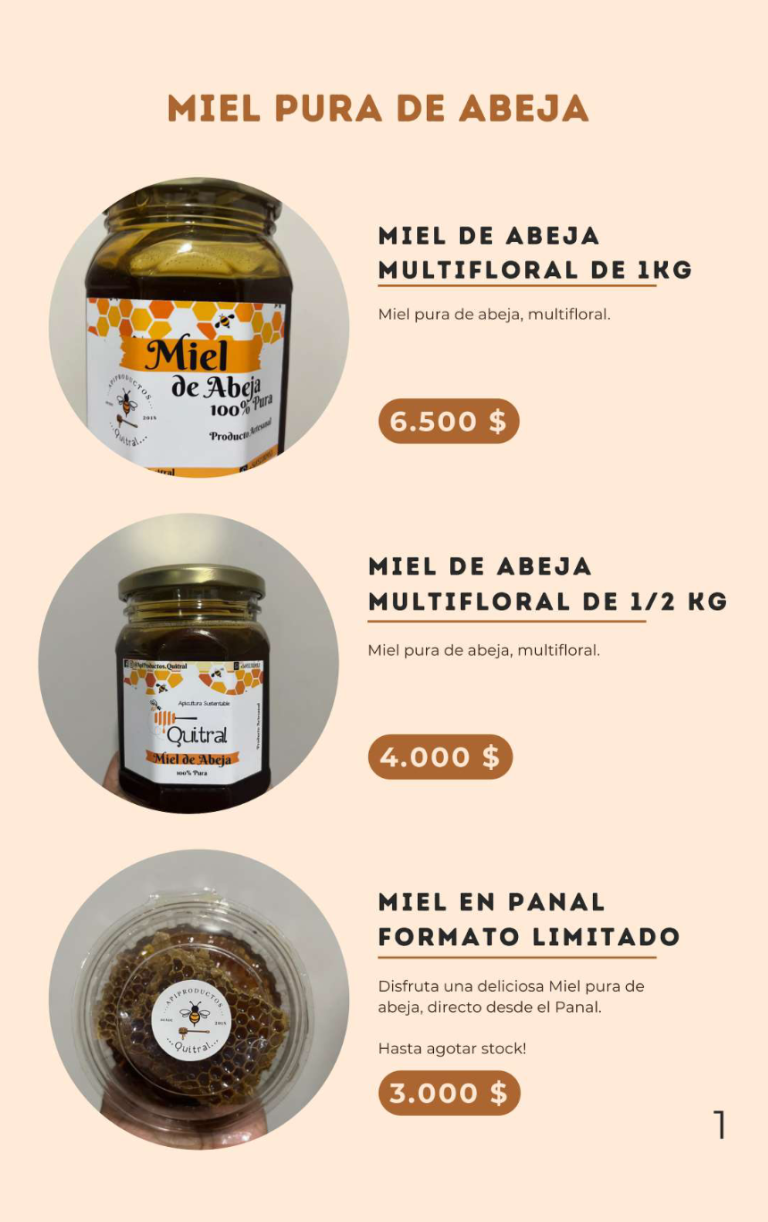 Captura de pantalla 2024 08 16 a las 2.04.45 a. m 768x1222